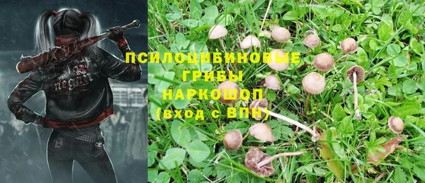 крисы Алексин
